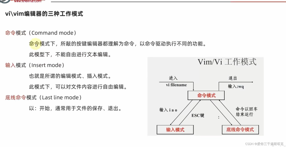 如何使用 UABE 编辑 Skyrim 模组文件（详细图解）- 完整指南与实操技巧